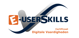 E-userskills